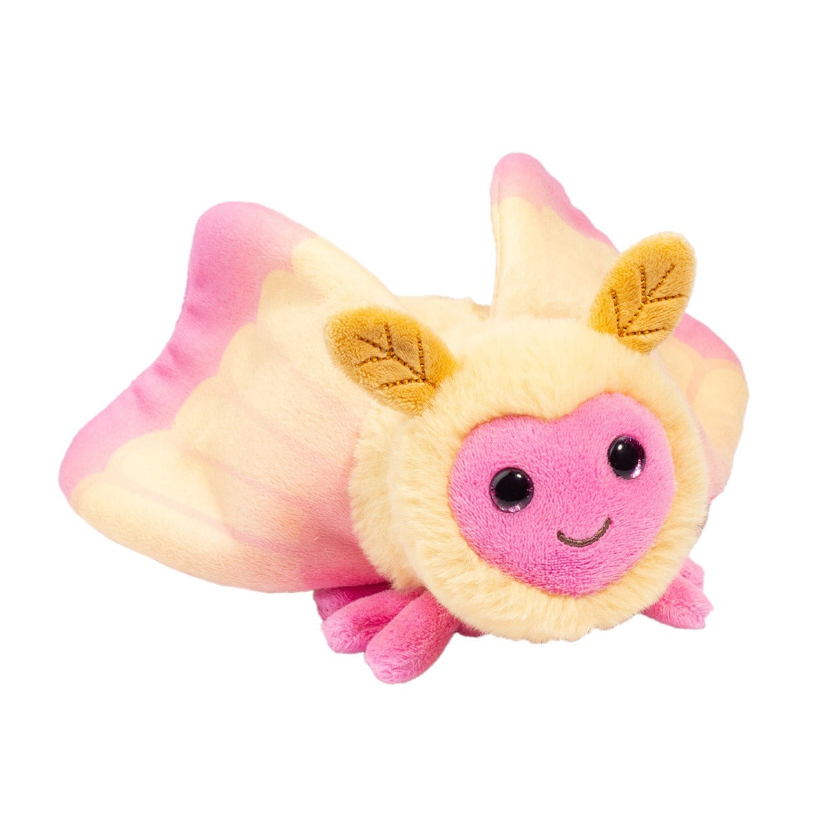 Rosy Maple Moth Douglas