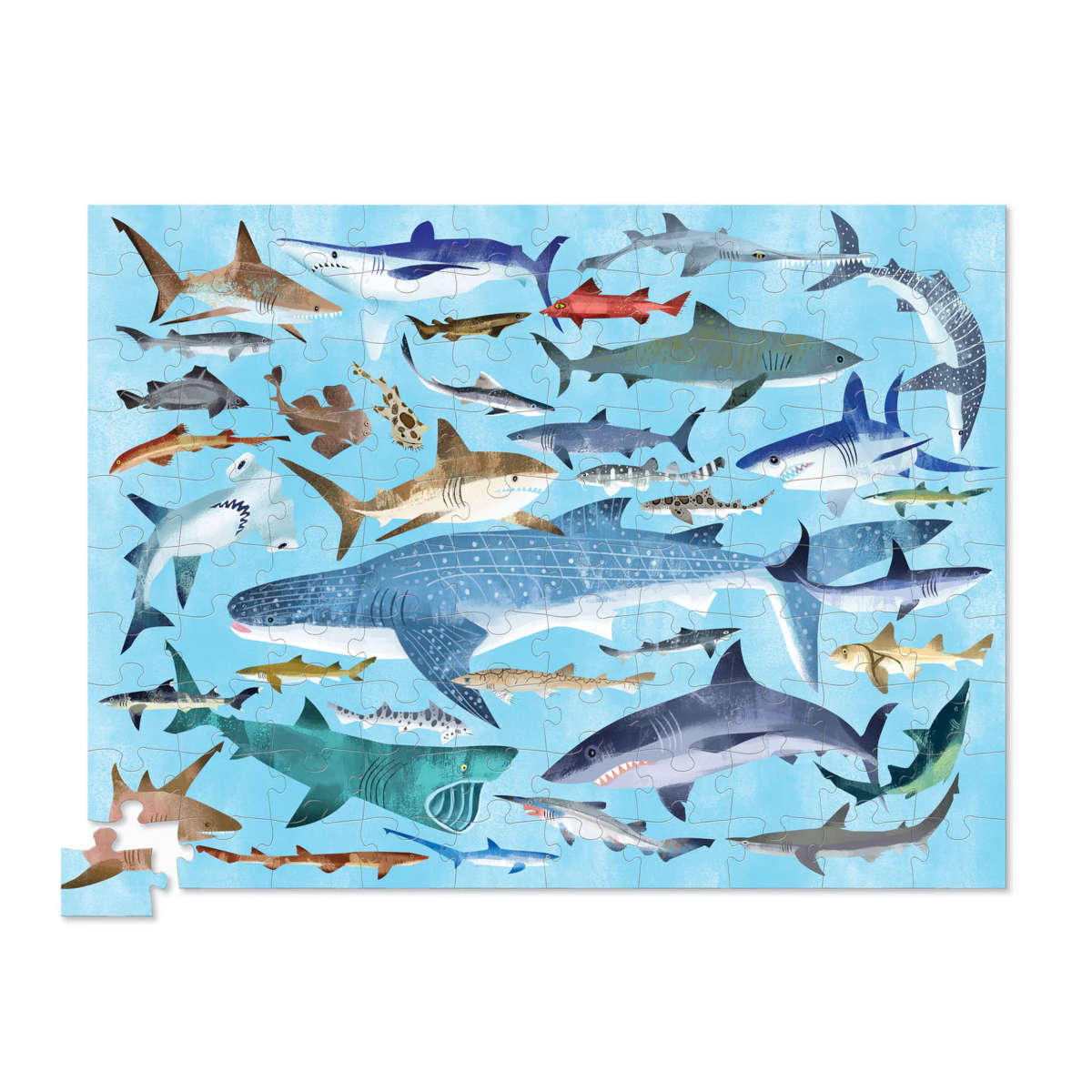 Crocodile Creek 36 Sharks 100 piece puzzle