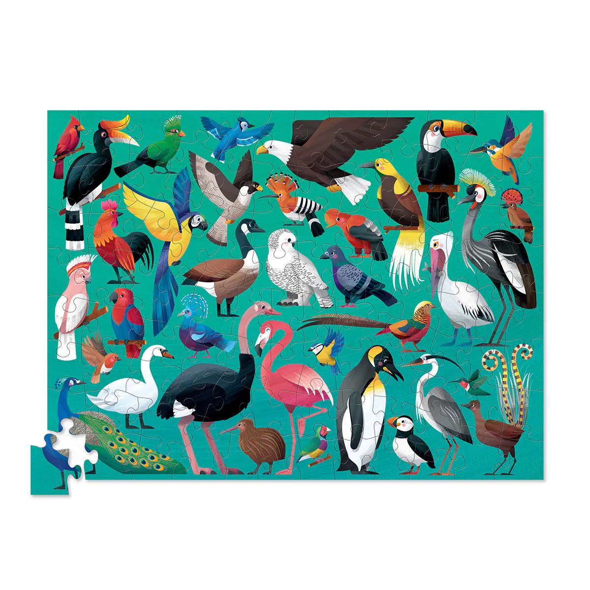Crocodile Creek 36 Beautiful Birds 100 piece puzzle