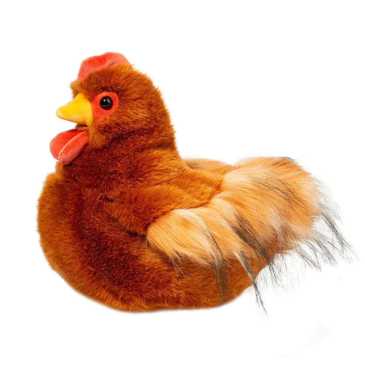 Douglas Hectorina Hen