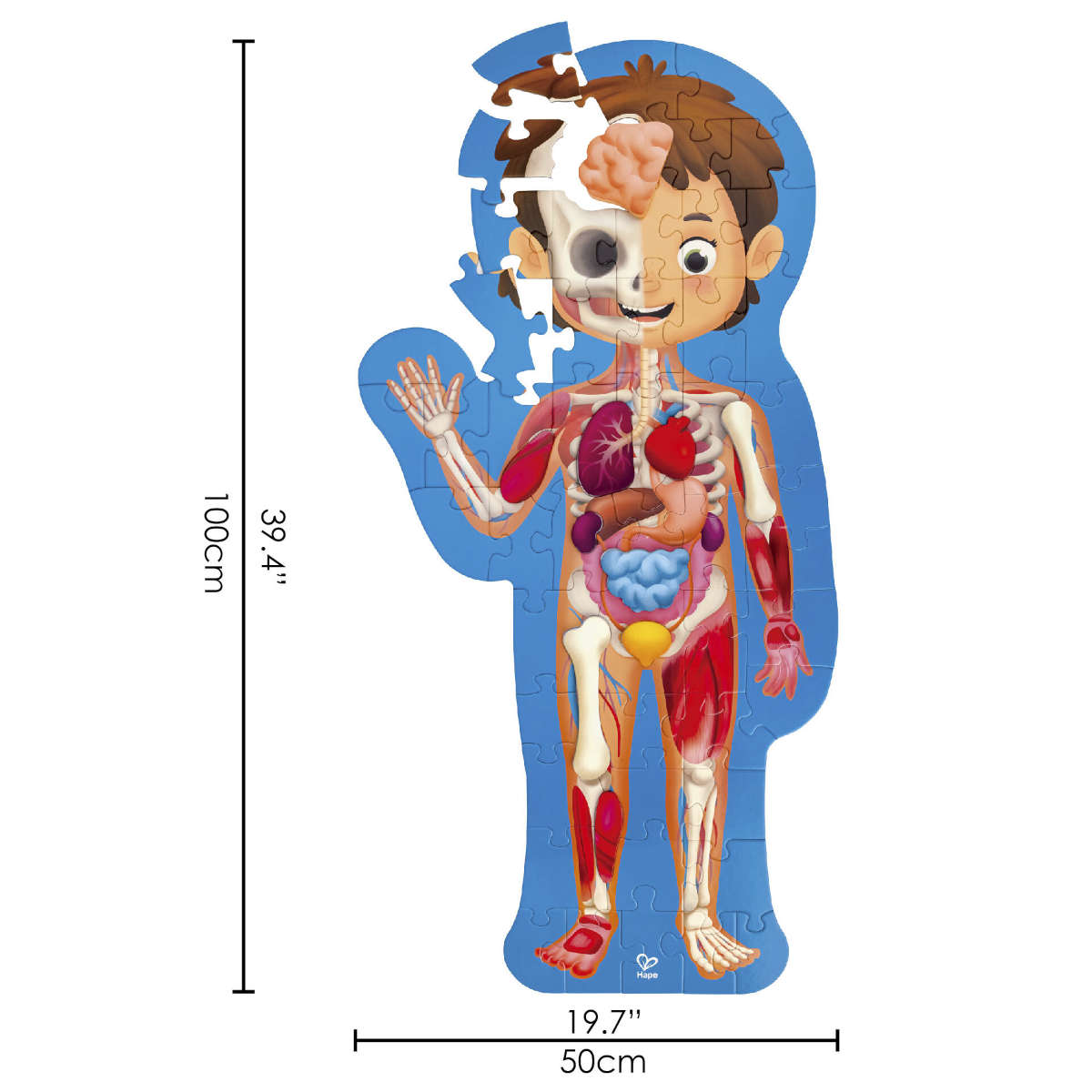 Hape Human Body Puzzle