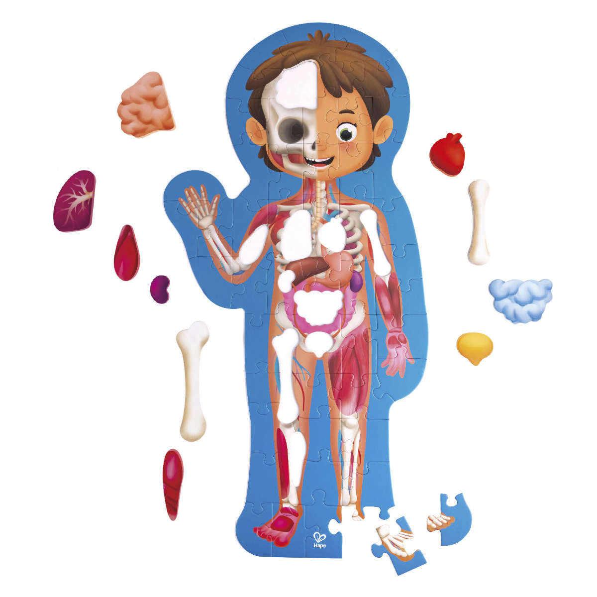 Hape Human Body Puzzle