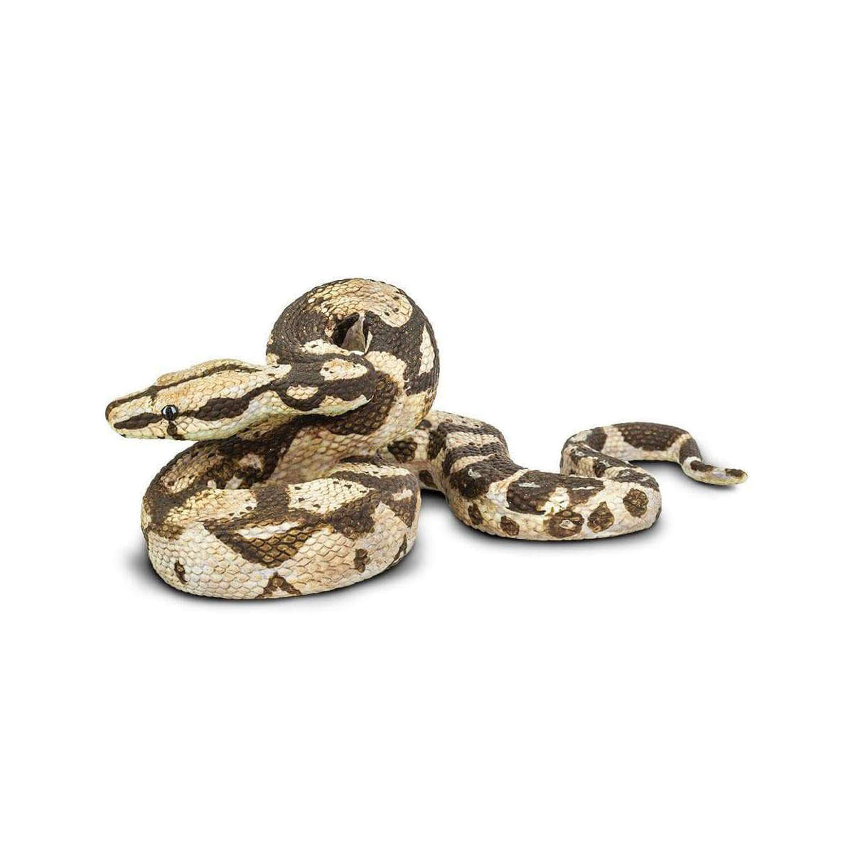 Safari Boa Constrictor