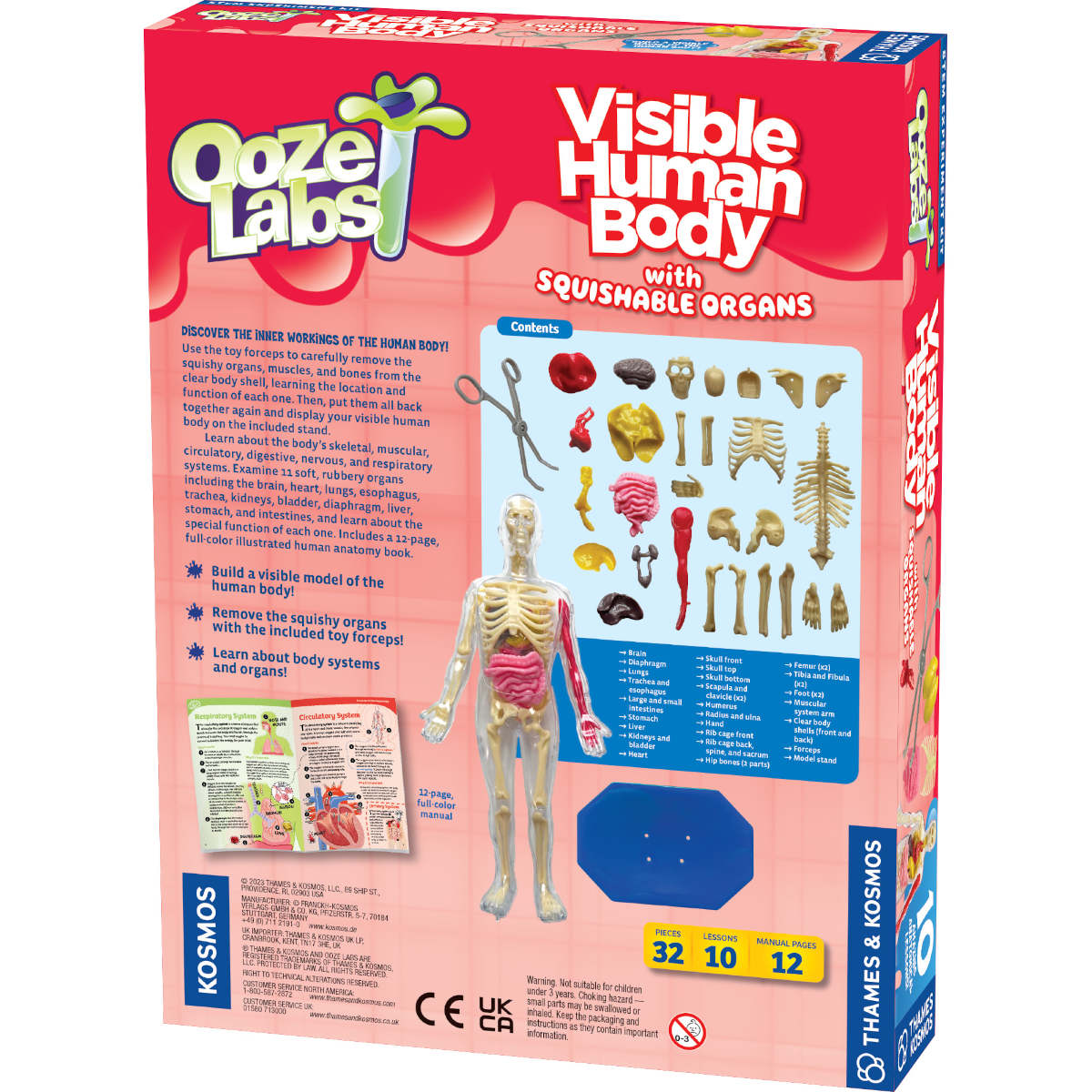 Thames & Kosmos: Visible Human Body