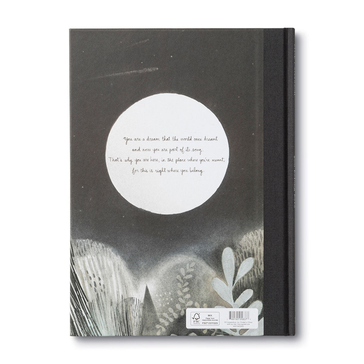 You Belong Here Hardcover Book by M.H. Clark