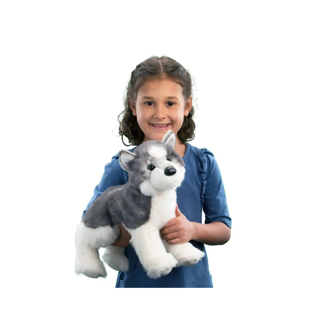 Douglas Sasha the Husky