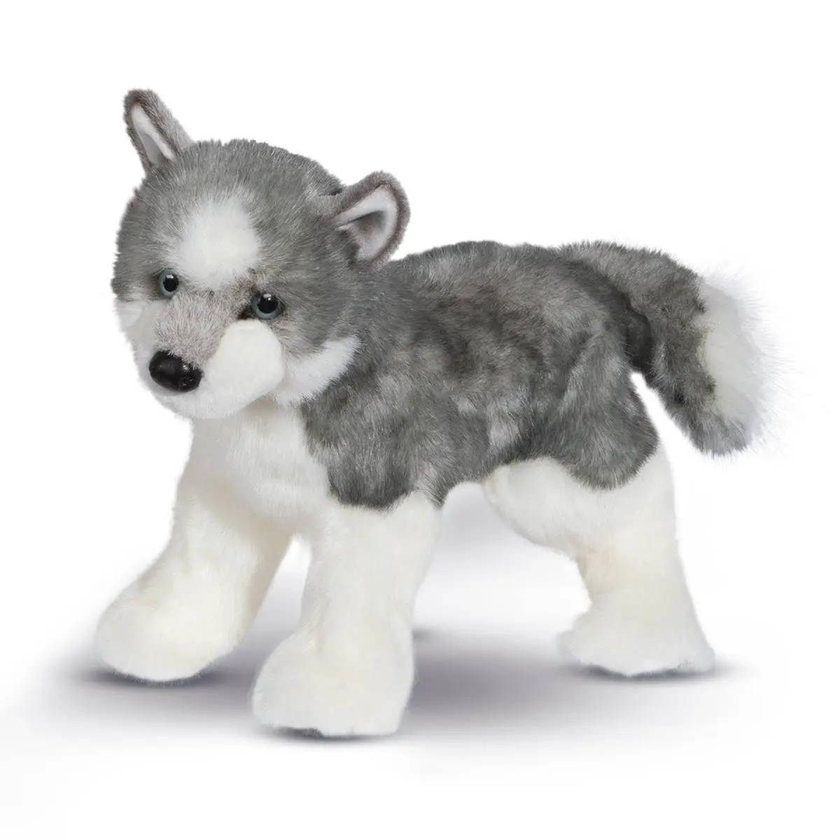Douglas Sasha the Husky