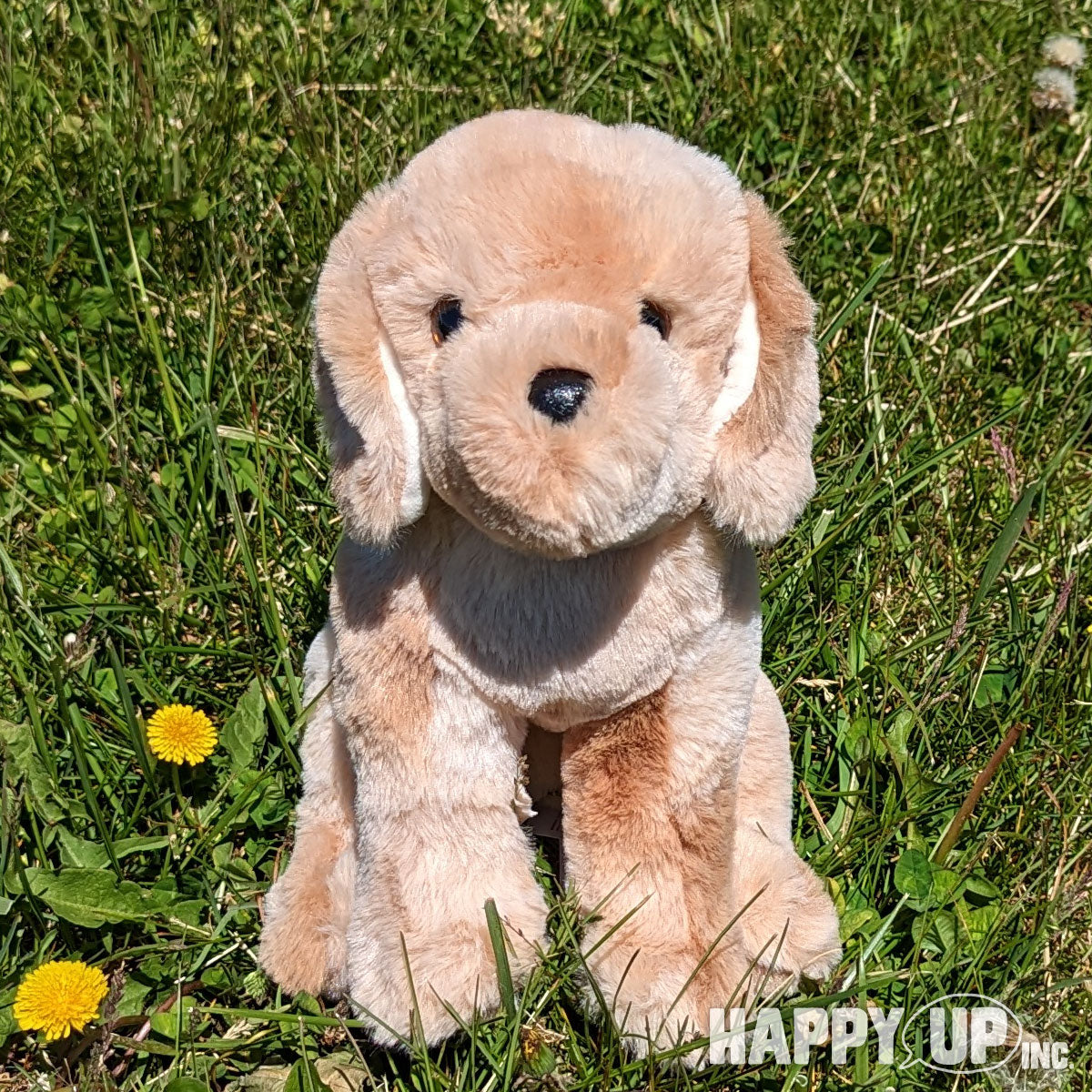 Douglas Weslie Softie Dog