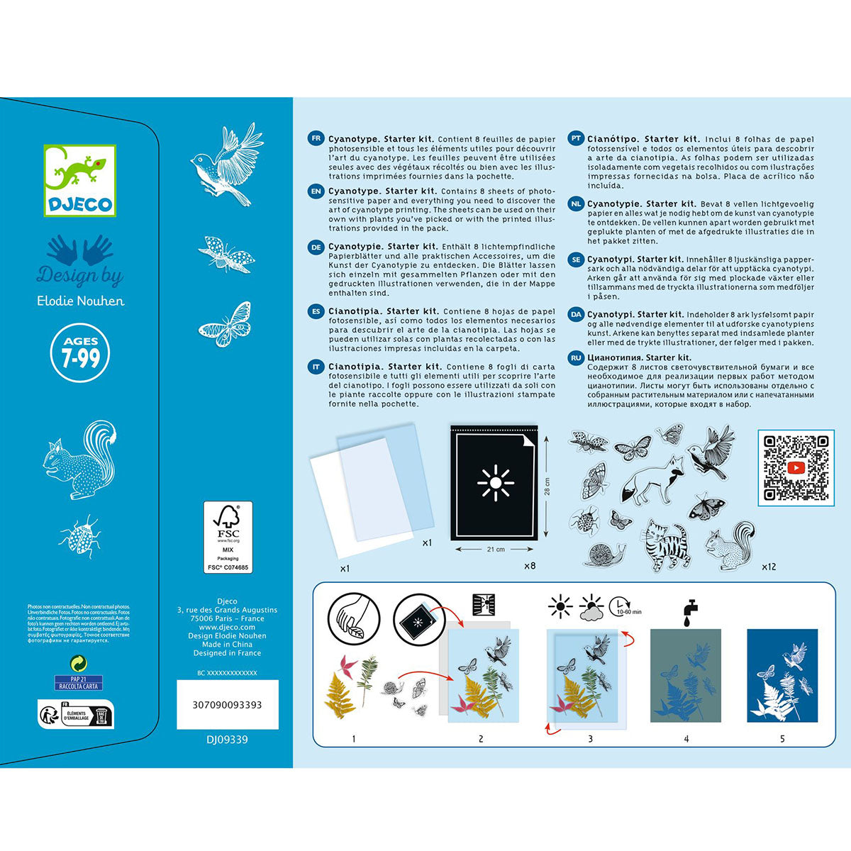 Cyanotype Starter Craft Kit