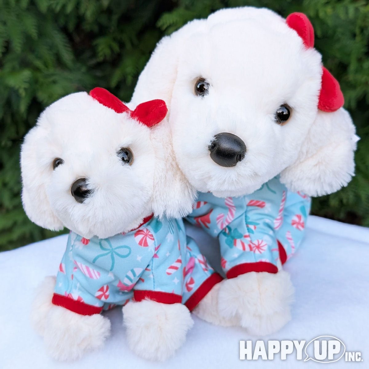 Douglas White Lab in Holiday PJ’s - Medium and Small