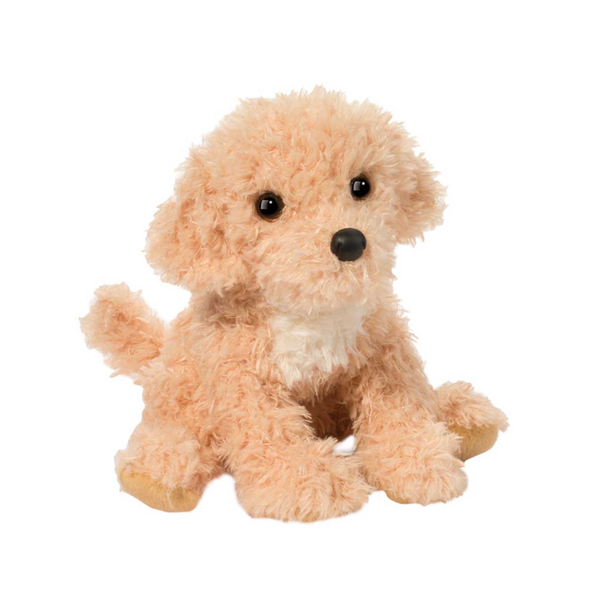Douglas Noodle Goldendoodle