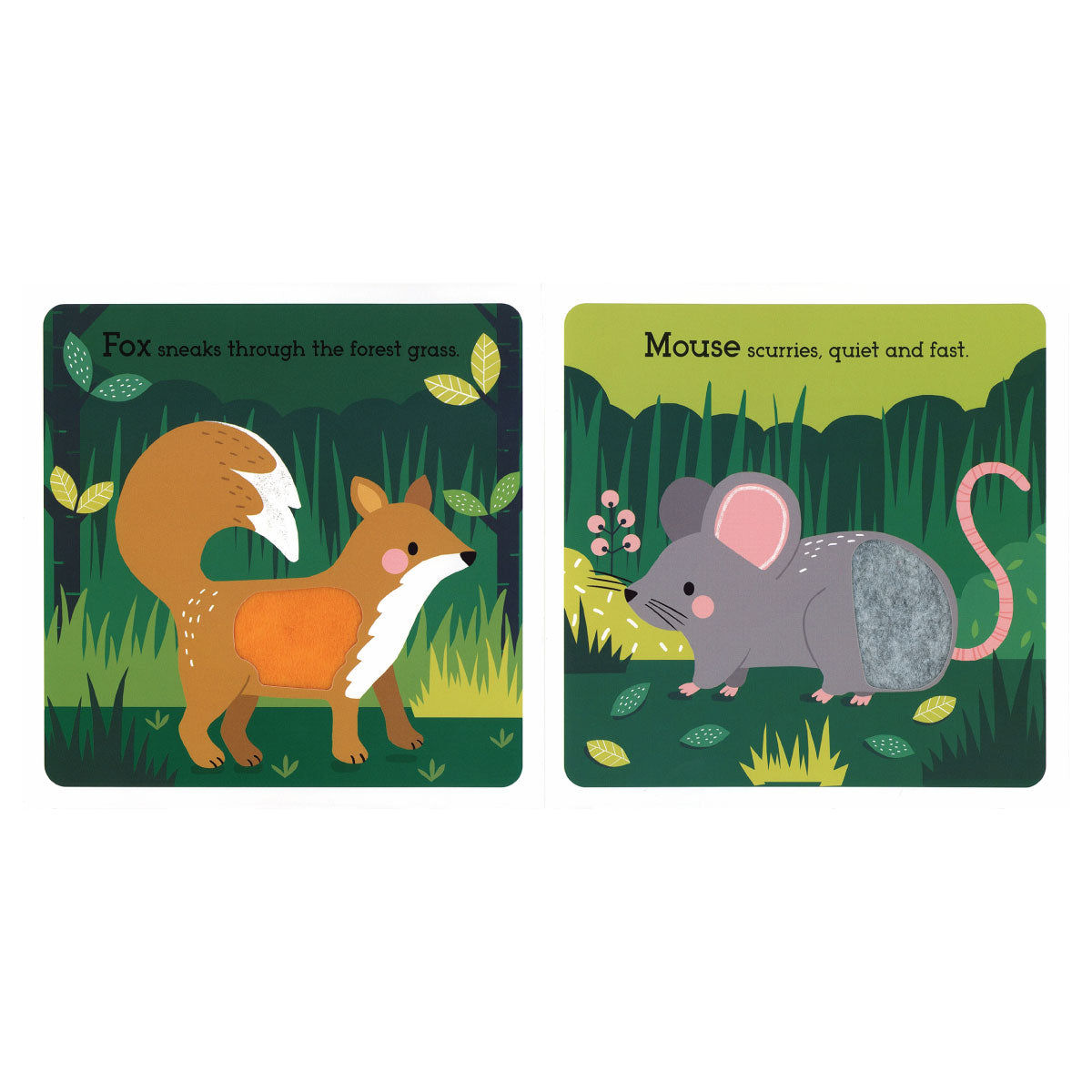 Wonderful Wildlife Board Book