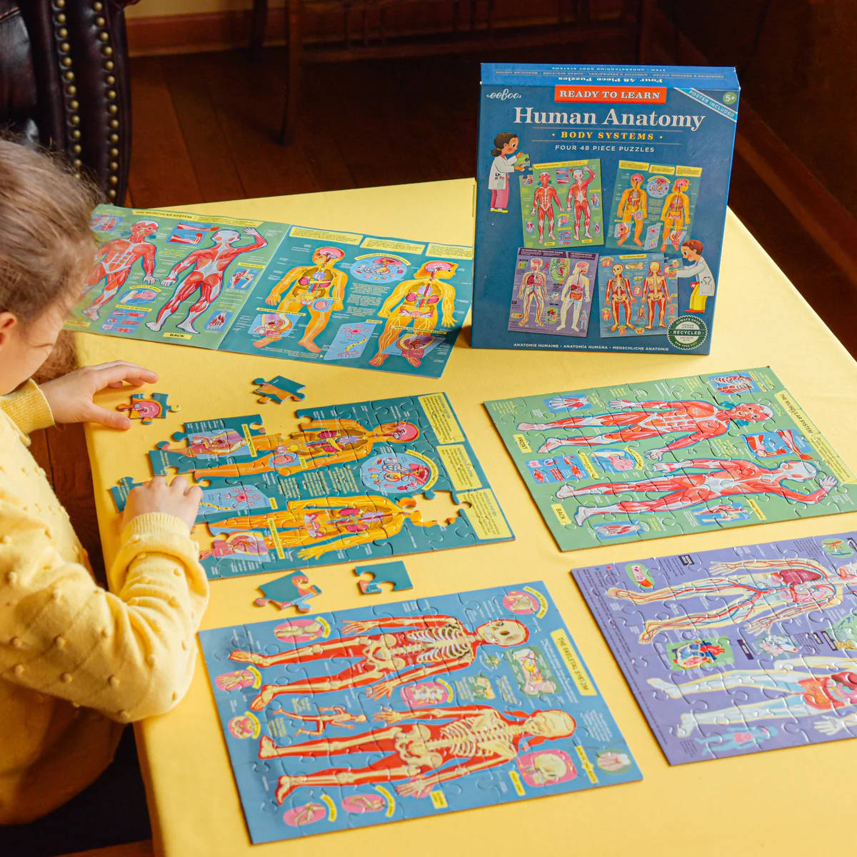 eeBoo Ready to Learn Human Anatomy 4x 48 Piece Puzzles