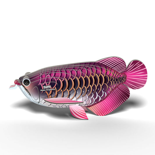 Eugy Asian Arowann 3-D Cardboard Model Kit