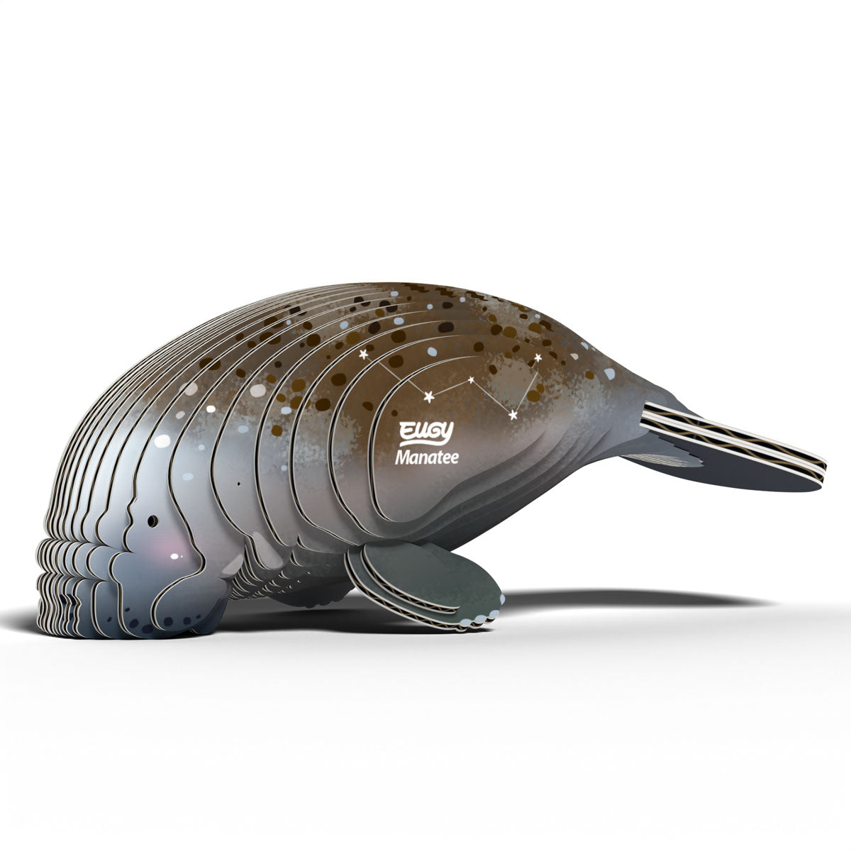 Eugy Manatee 3-D Cardboard Model Kit