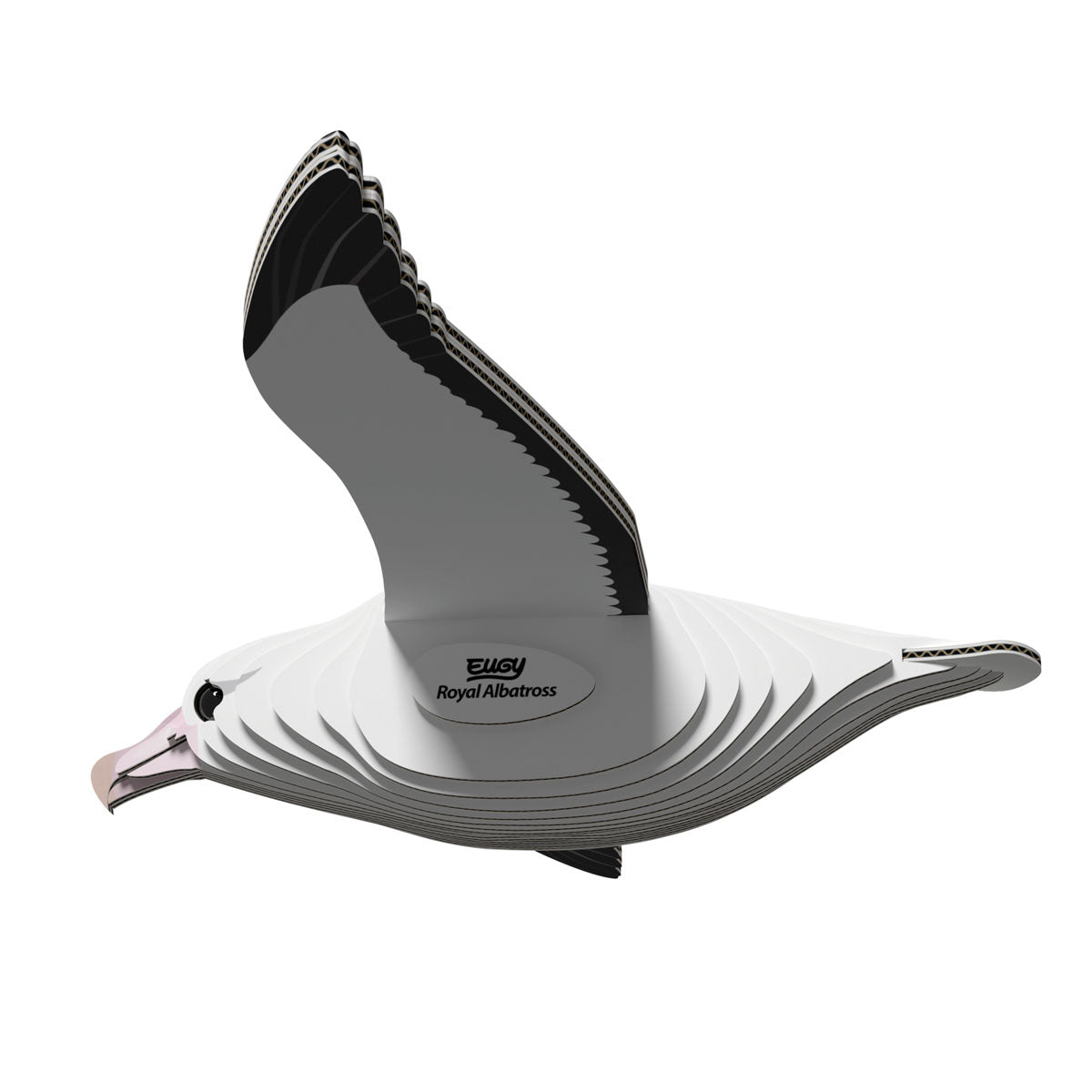 Eugy Royal Albatross 3-D Cardboard Model Kit