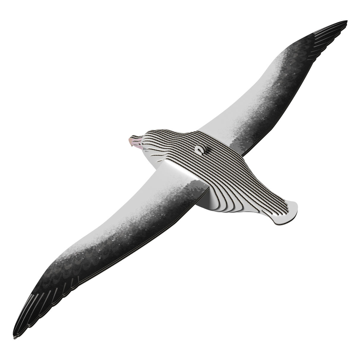 Eugy Royal Albatross 3-D Cardboard Model Kit