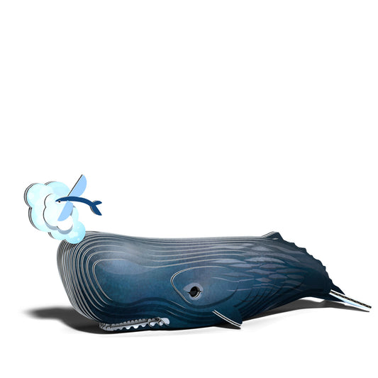 Eugy Sperm Whale 3-D Cardboard Model Kit
