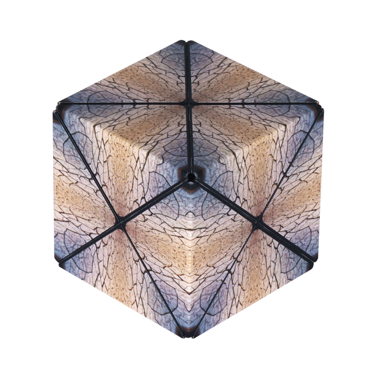 Parched Duomoto Puzzle Cube from Fun In Motion Toys
