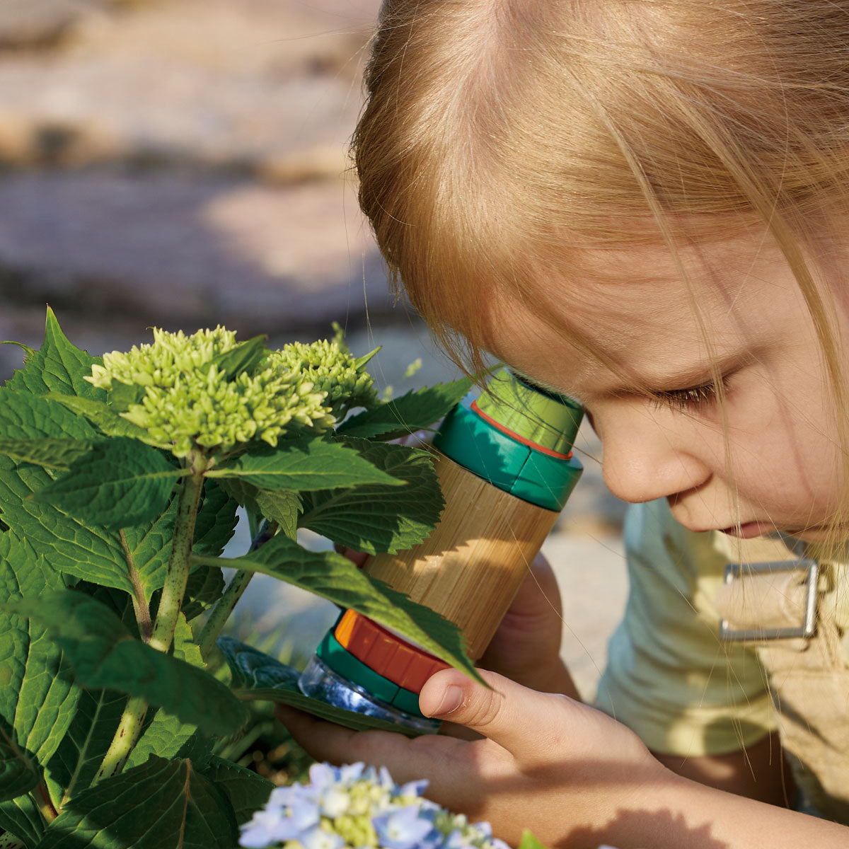 Hape Nature Fun Field Microscope