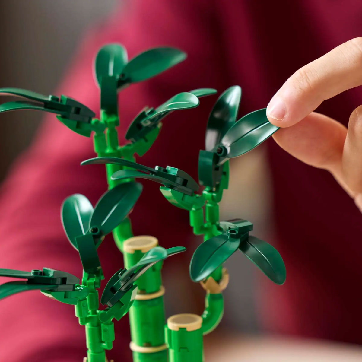 LEGO Botanicals Lucky Bamboo