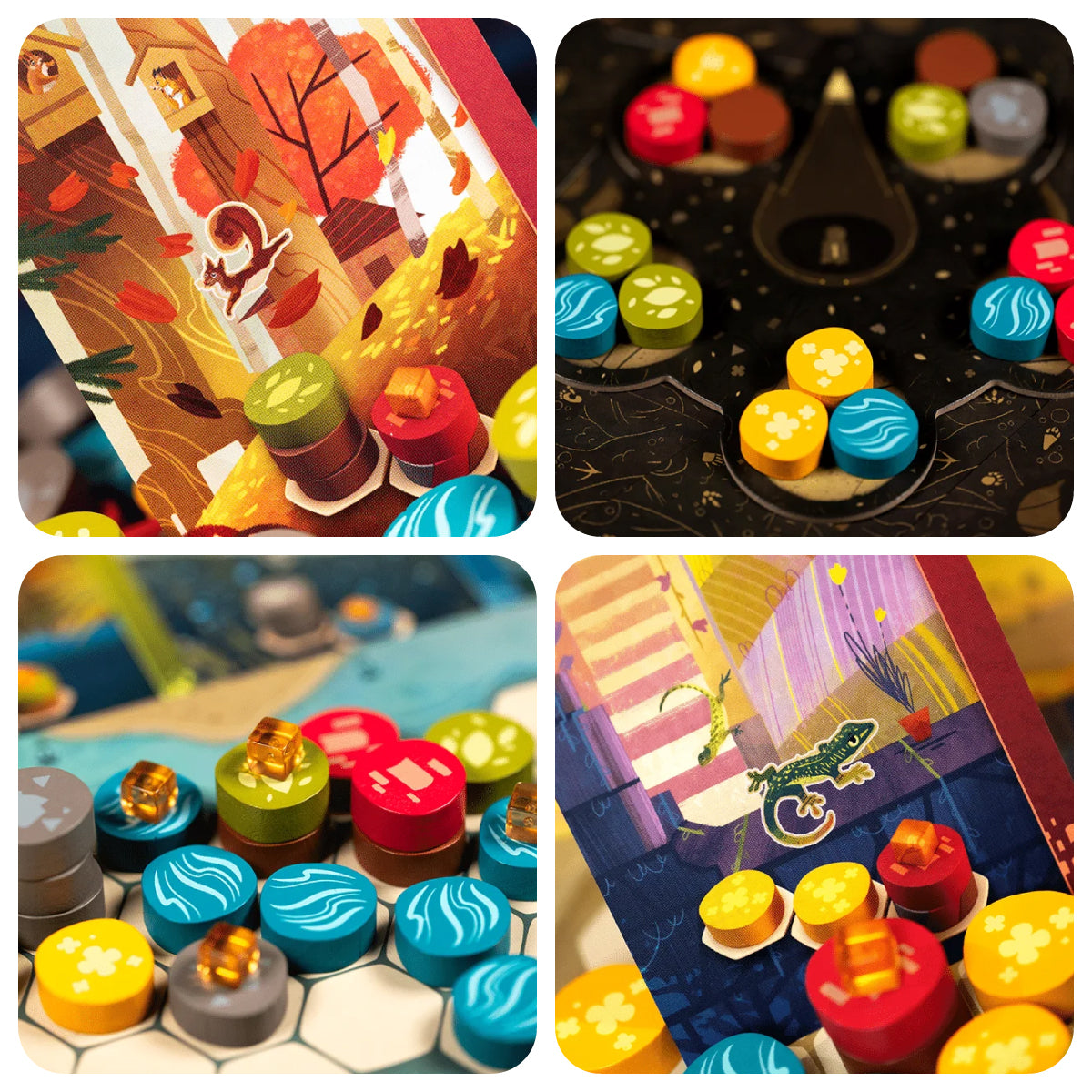 Libellud Harmonies Board Game components with cards