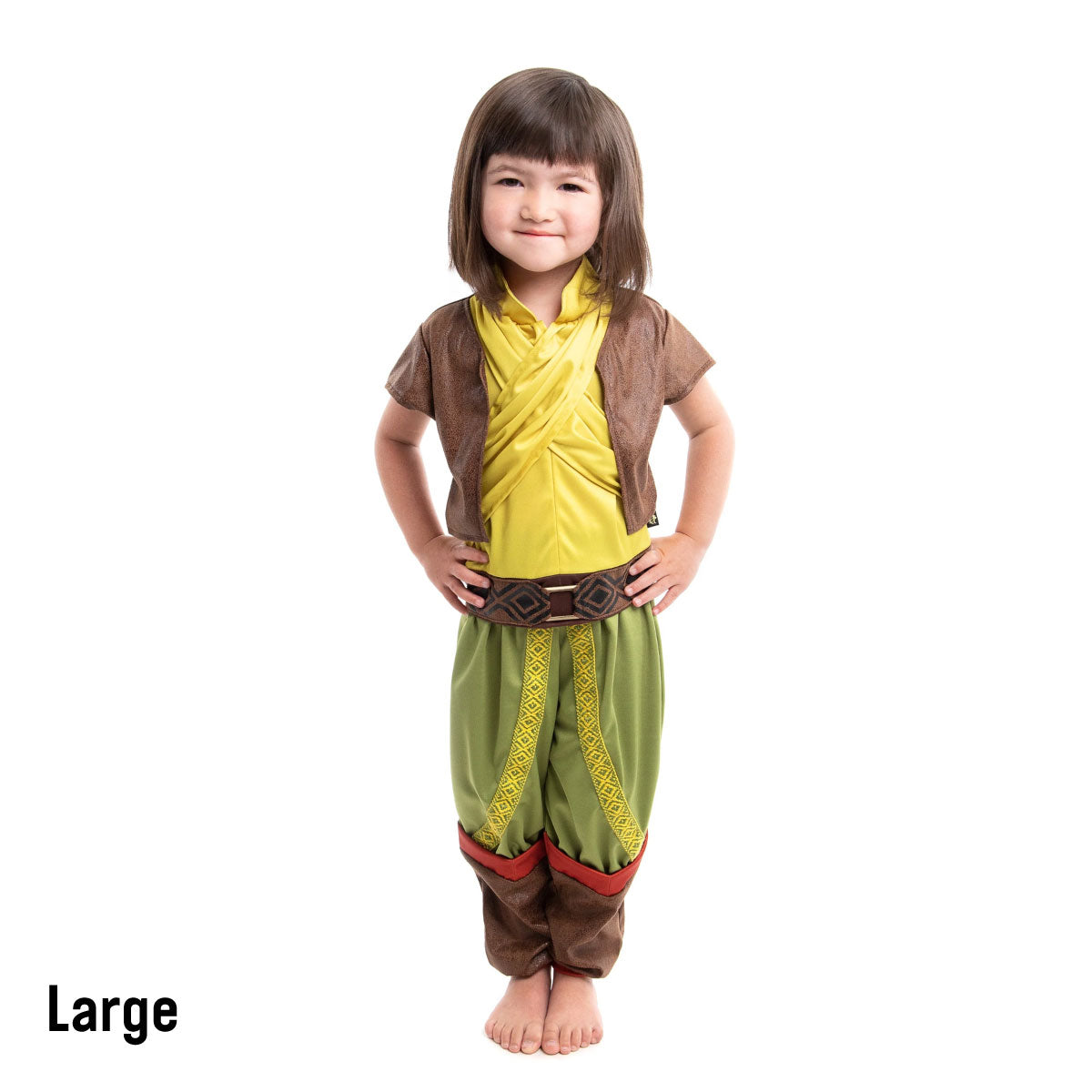 Little Adventures Deluxe Dragon Princess Outfit Size Large