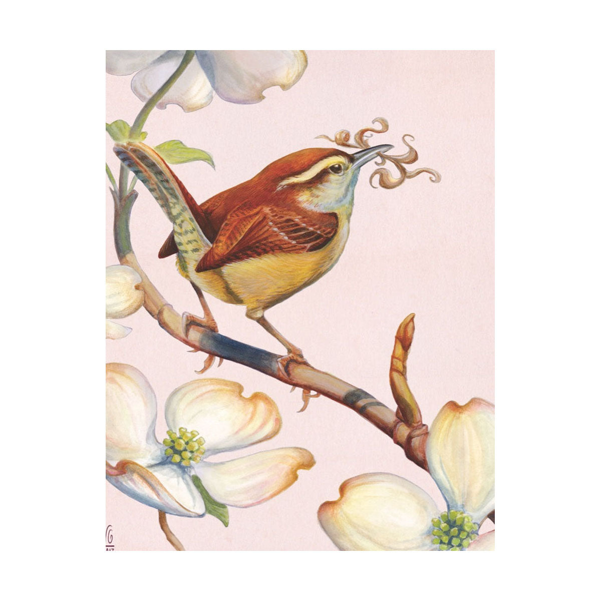 Carolina Wren Mini 100 Piece Jigsaw Puzzle