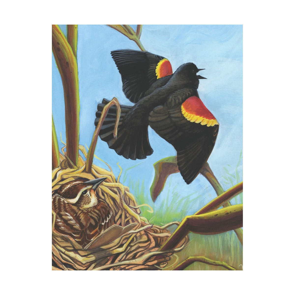 Red-winged Blackbird Mini 100 Piece Jigsaw Puzzle