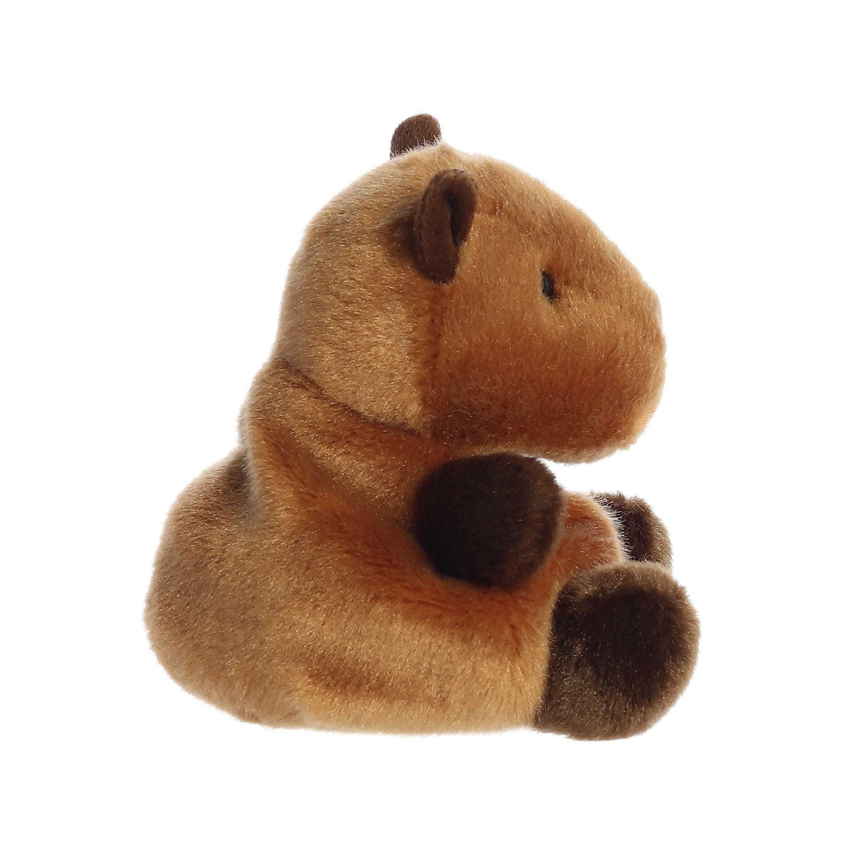 Palm Pals Sid Capybara