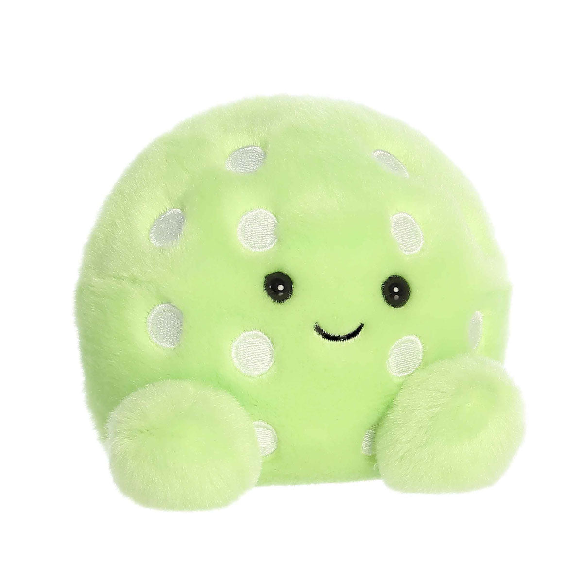 Palm Pals Steve Pickleball