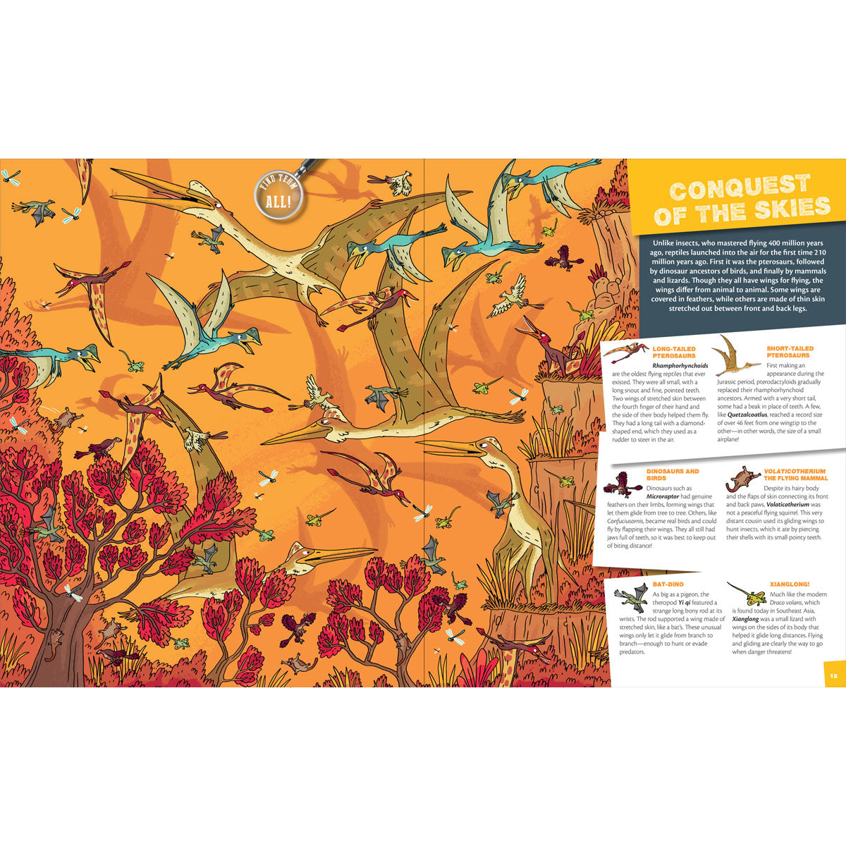 Seek and Find: Dinosaurs