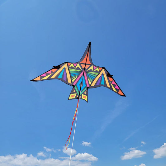 Premier Kites Thunderbird Kite - 90 in. Rainbow Geometric