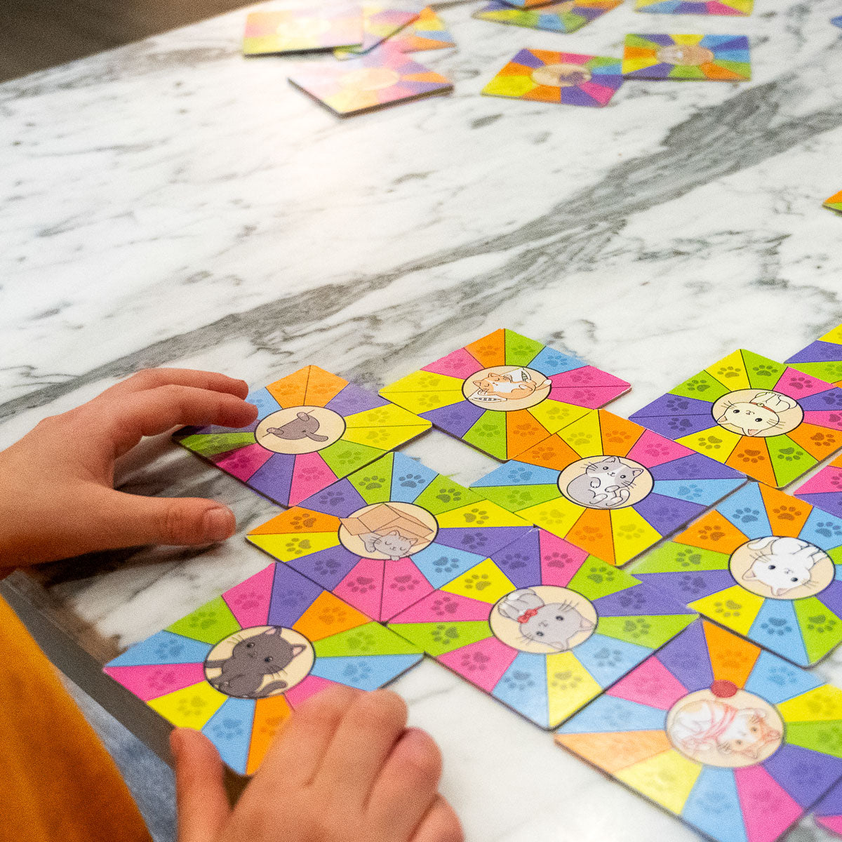 Project Genius Kitty Litter Color Matching Game