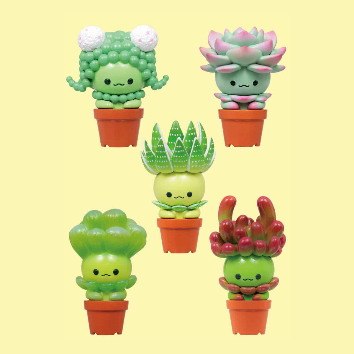 Qualia Succulent Friends Blind Box