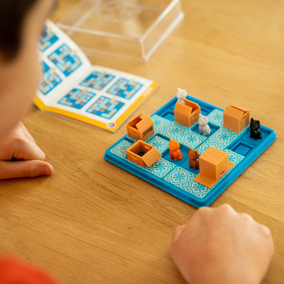 Smart Games Cats and Boxes Logic Game