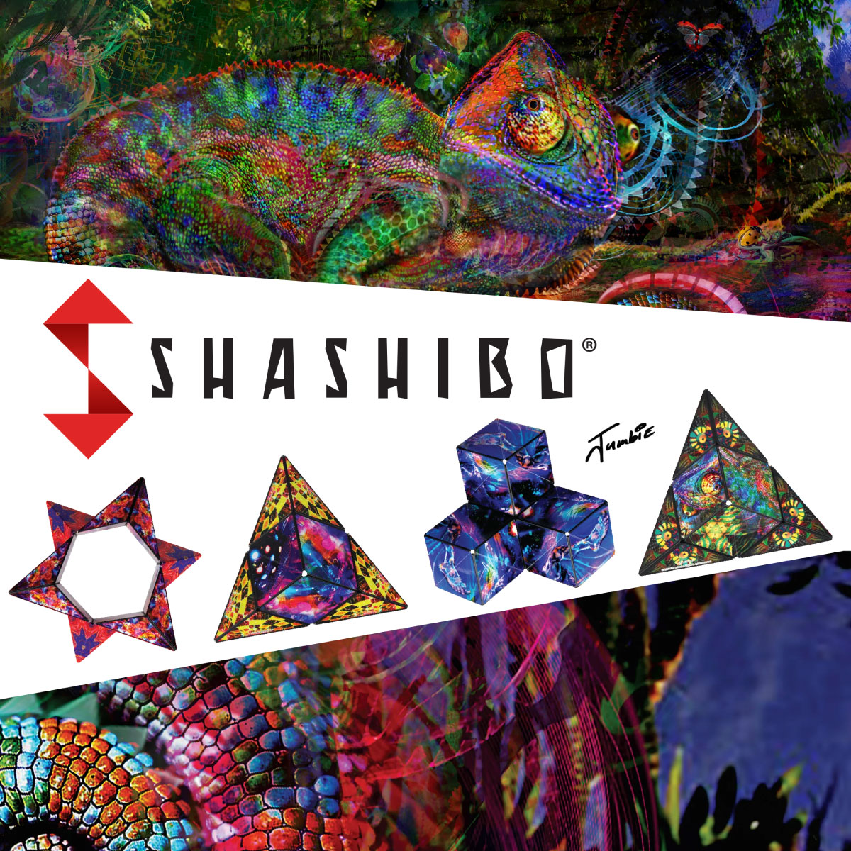 Shashibo - Plusieurs variantes