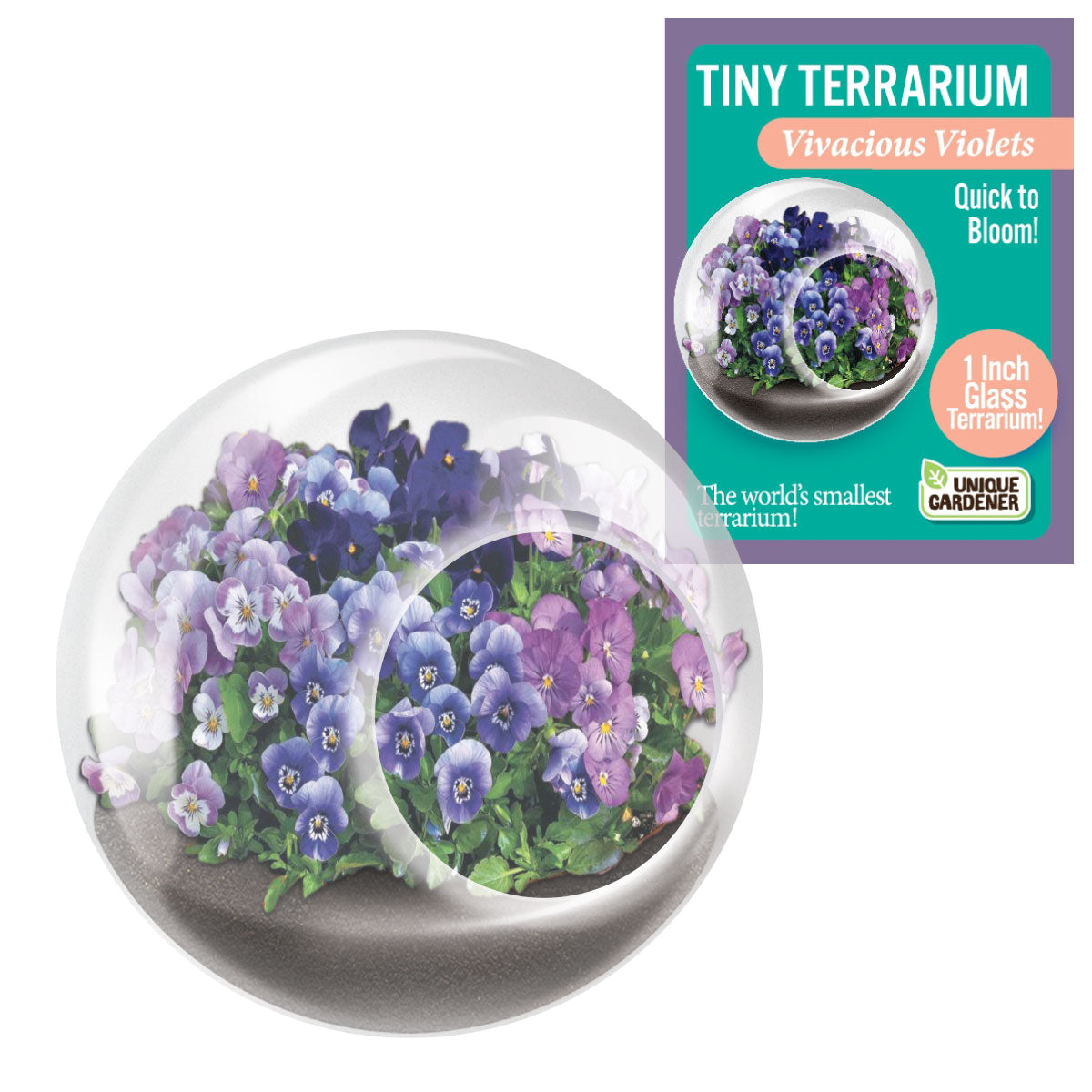 Unique Gardener Tiny Terrarium - Flowers Vivacious Violets