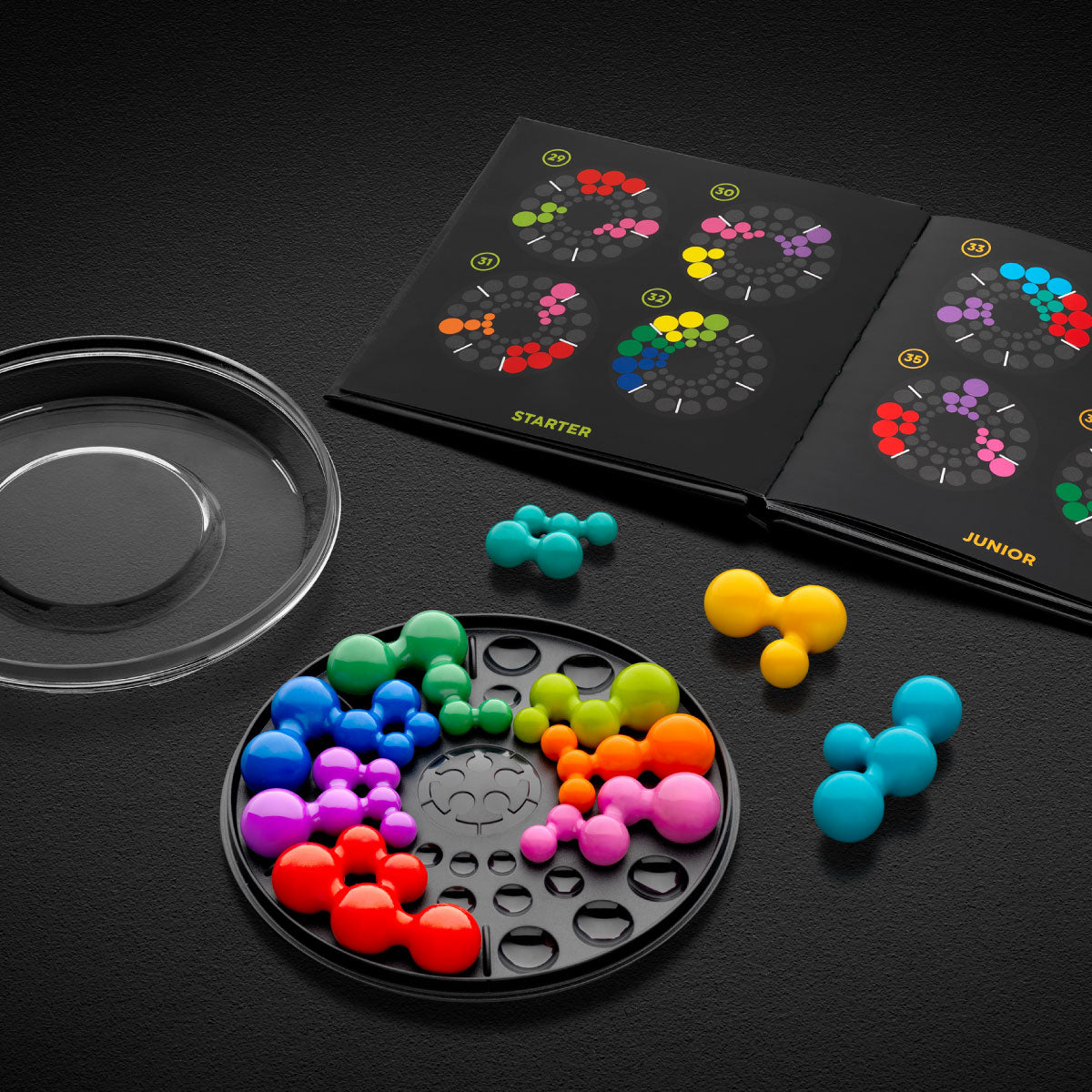 Smart Games IQ Deluxe Circle Logic Puzzle