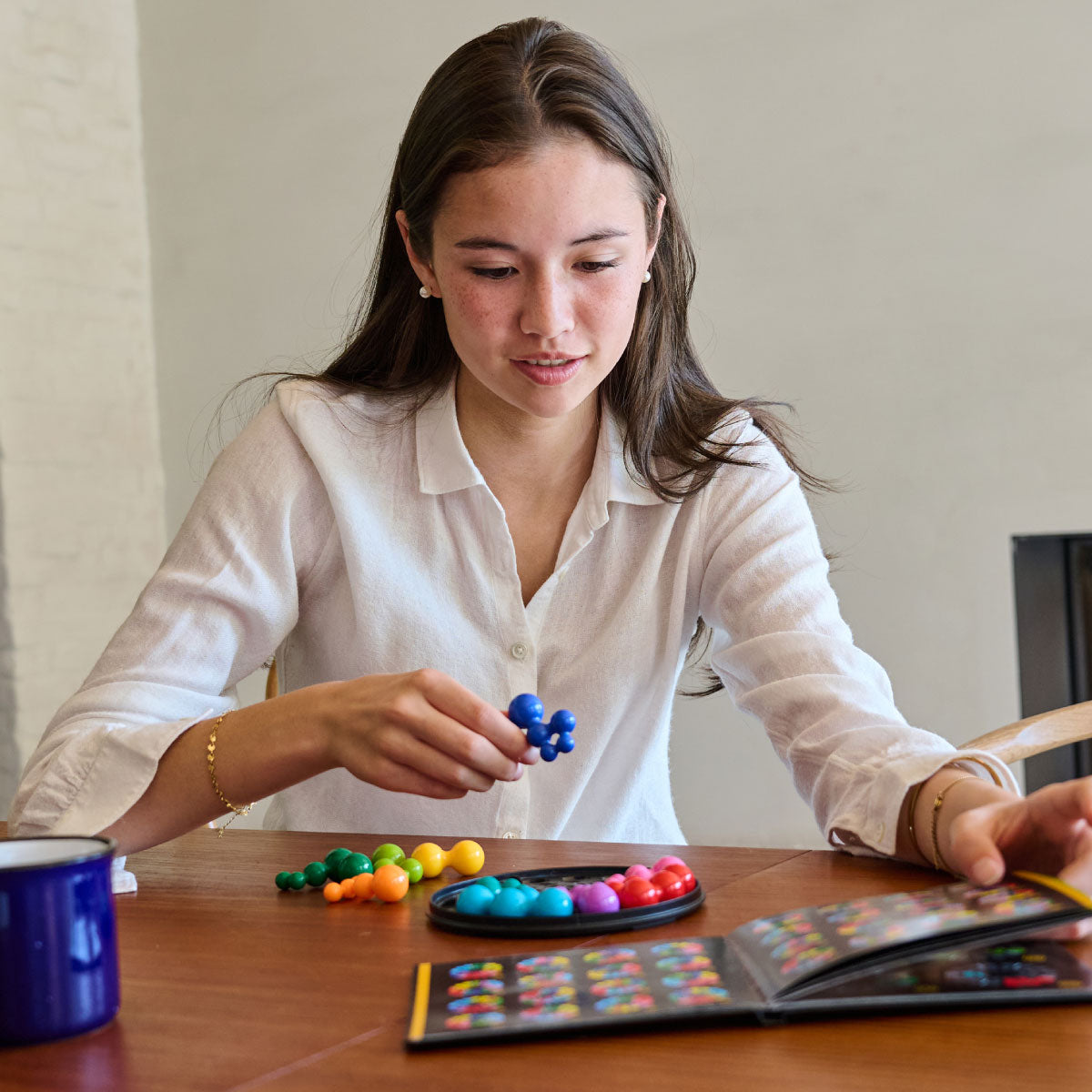 Smart Games IQ Deluxe Circle Logic Puzzle