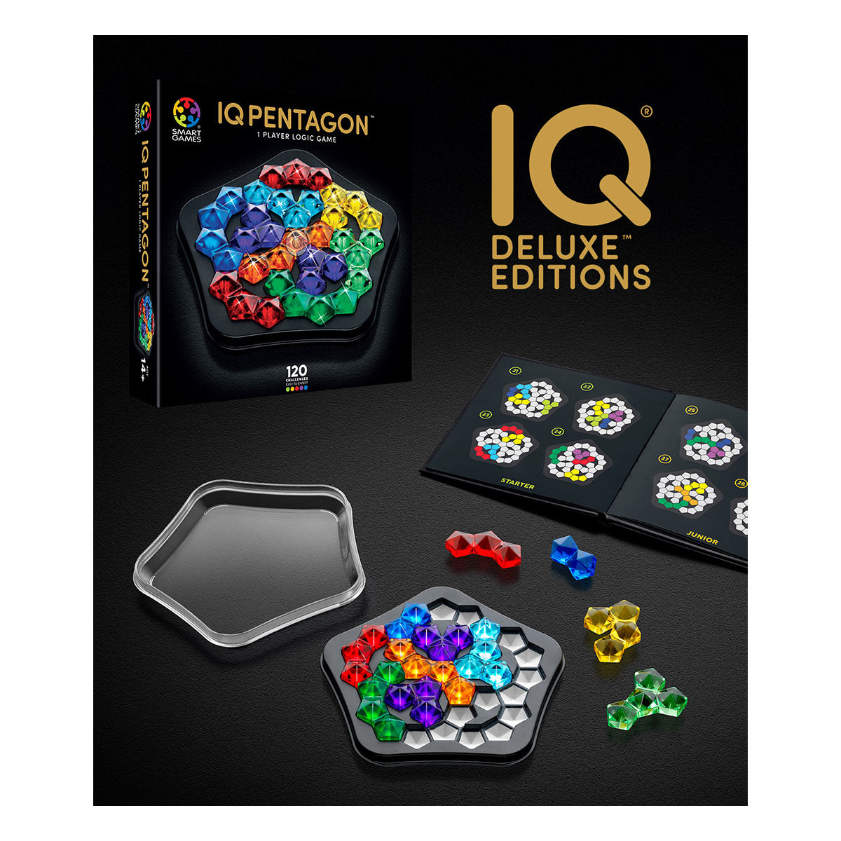 Smart Games IQ Deluxe Pentagon Logic Puzzle