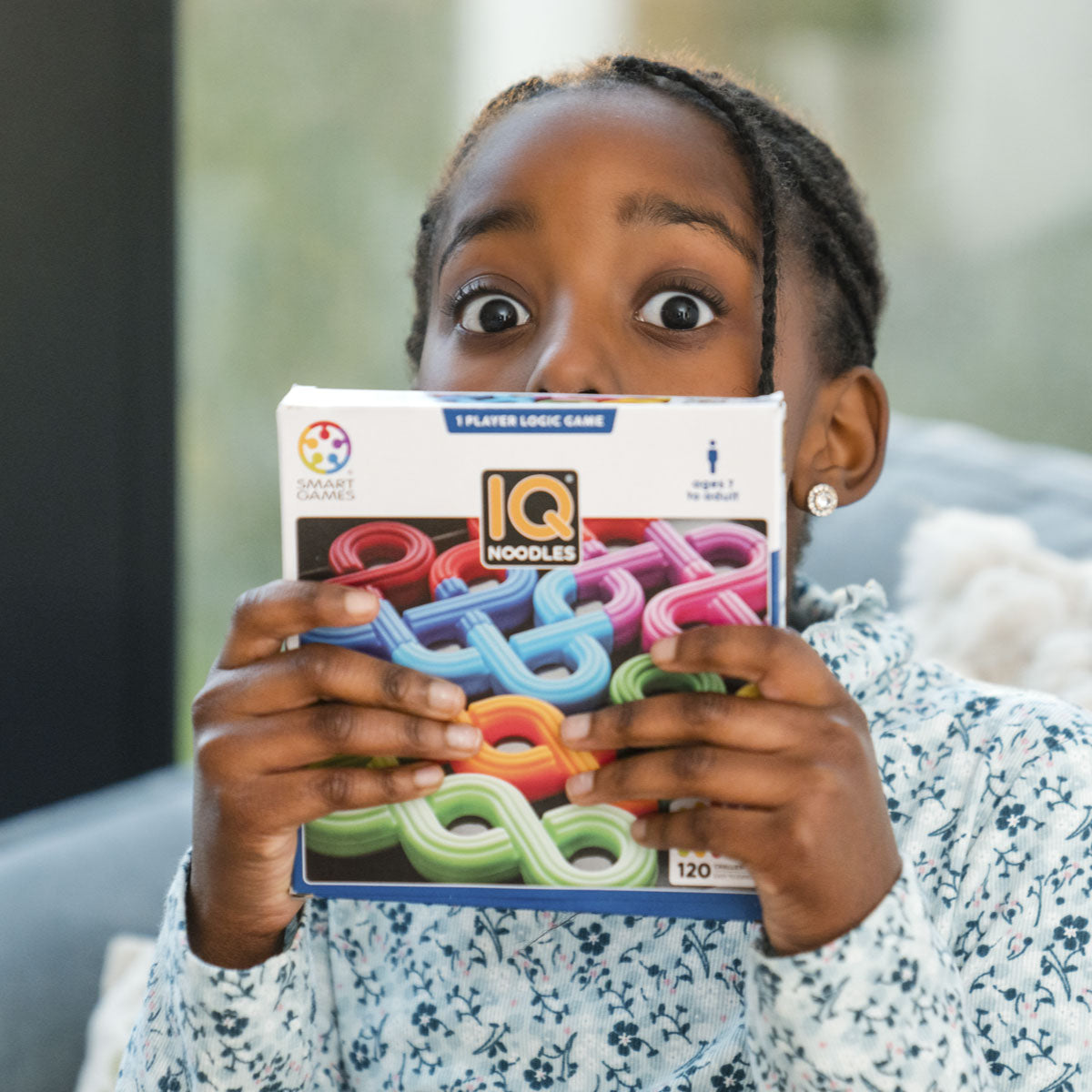 Smart Games IQ Noodles Logic Game