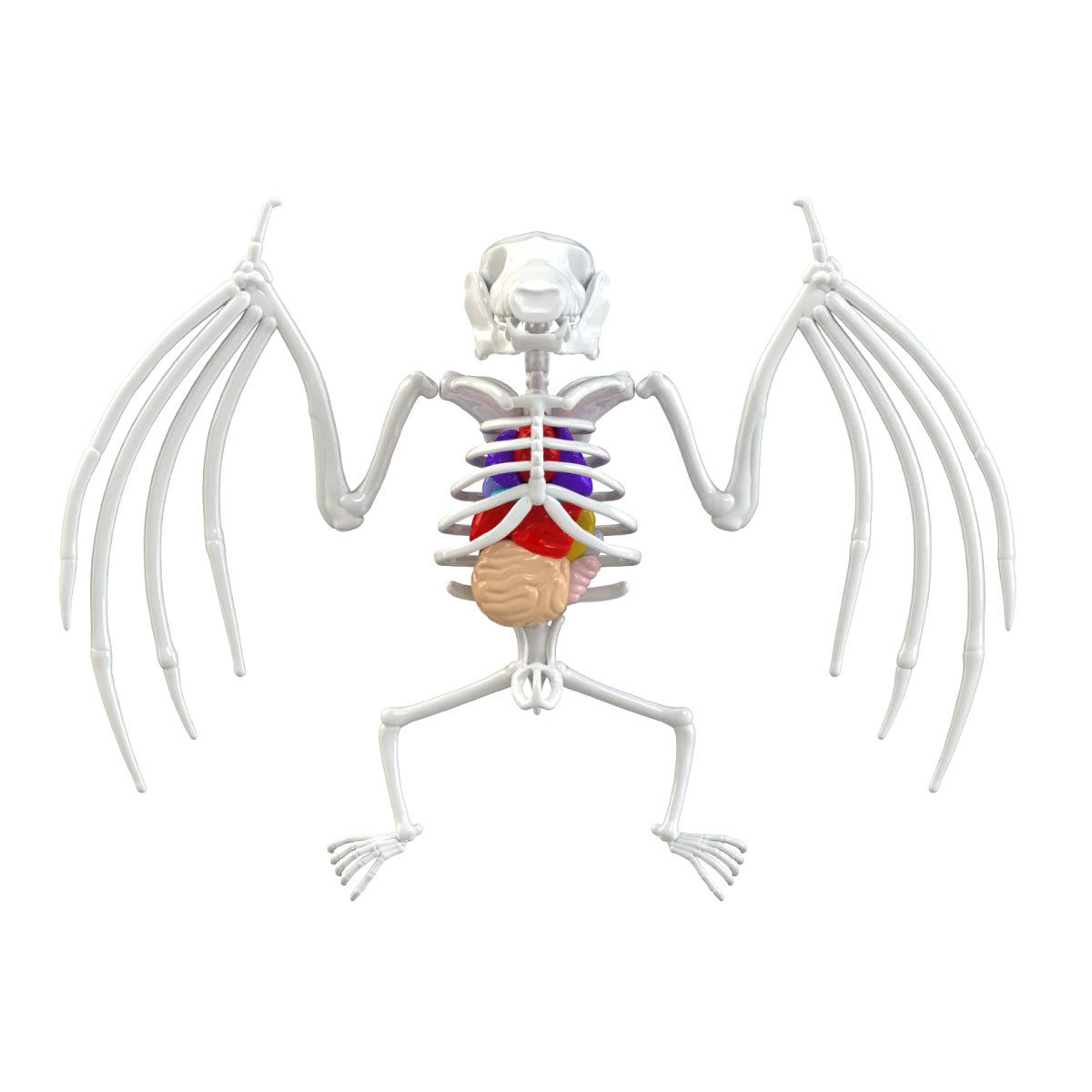 Dissect-It Bat STEM Kit from Top Secret Toys