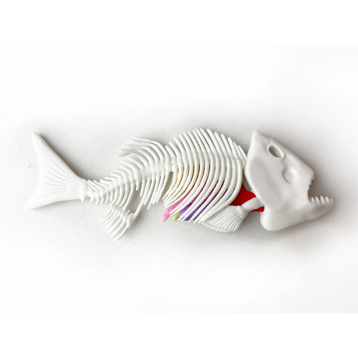 Dissect-It Piranha STEM Kit from Top Secret Toys