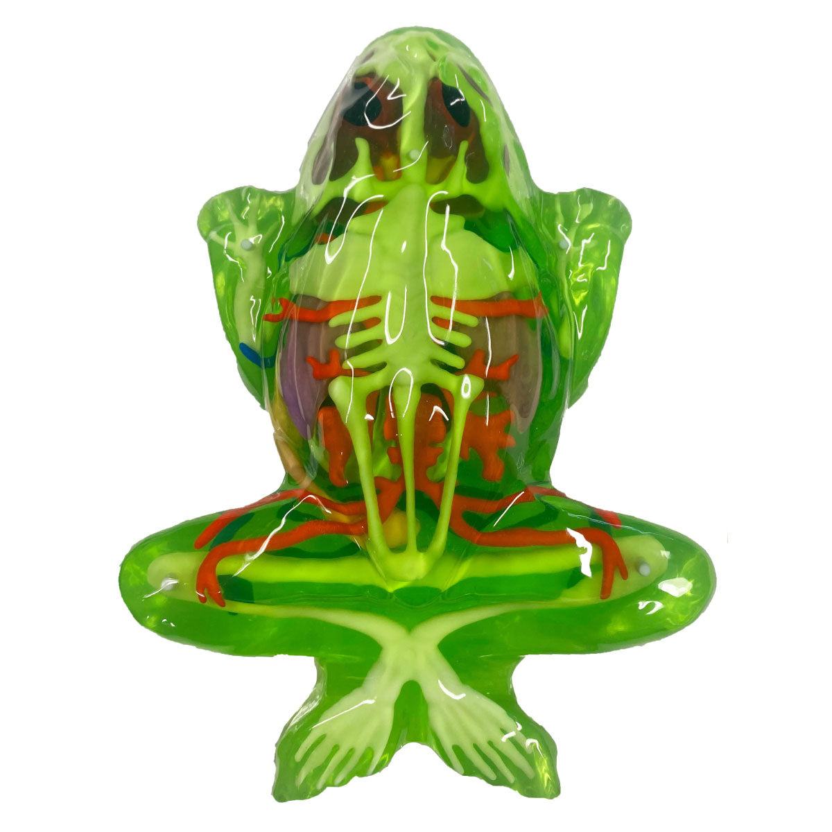 Dissect-It Frog Super Lab STEM Kit from Top Secret Toys
