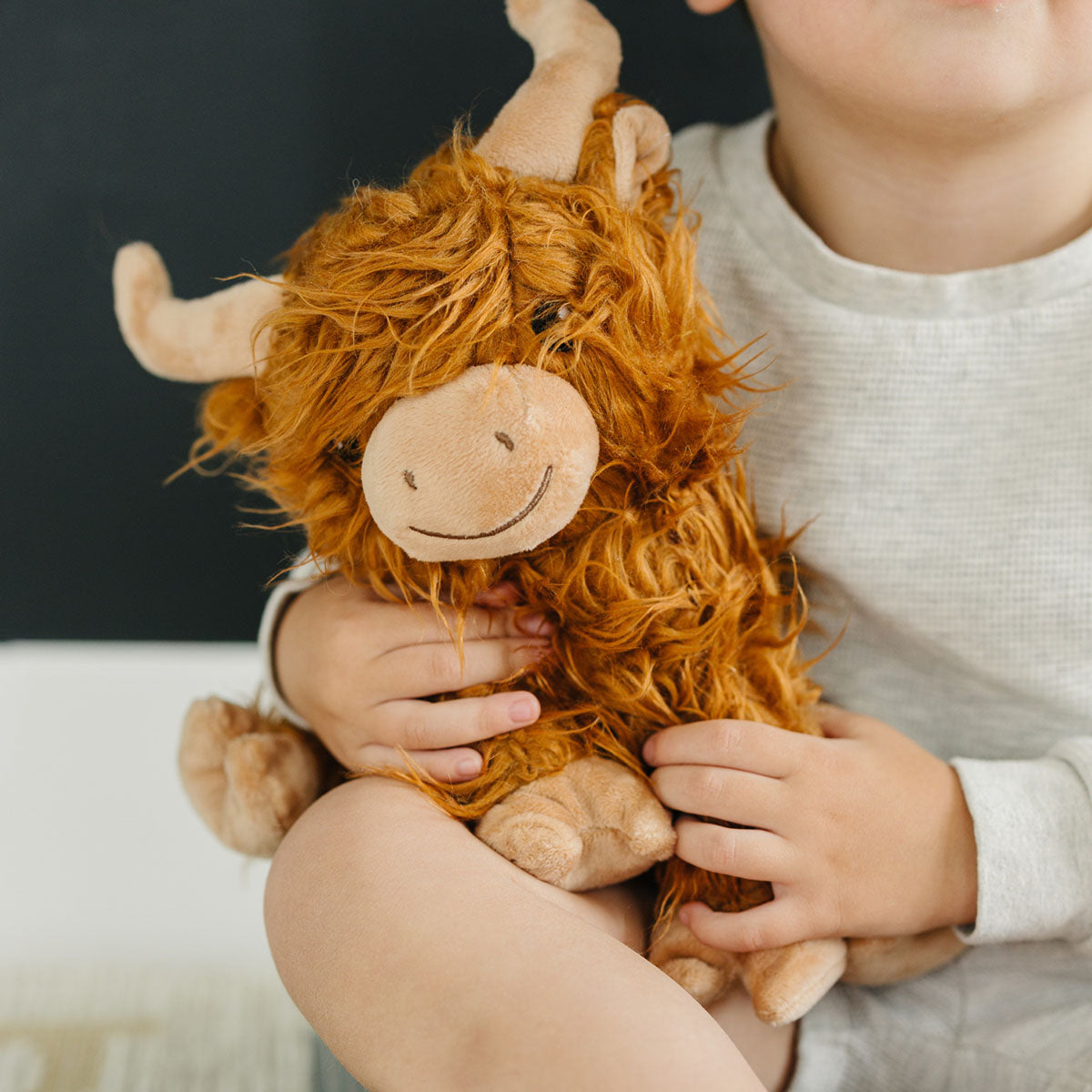 Henry Highland Cow Warm Pals