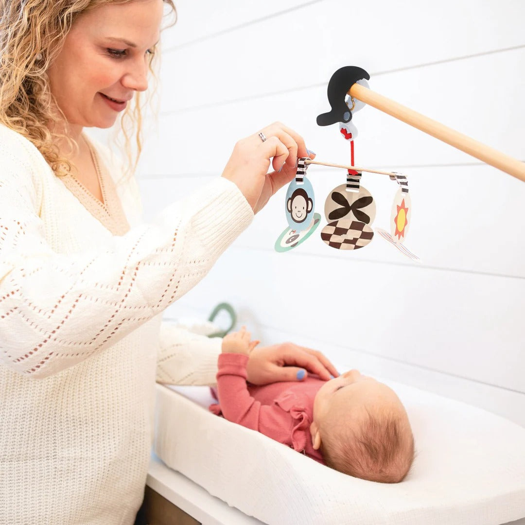 Wimmer Stim To Go, Manhattan Toys