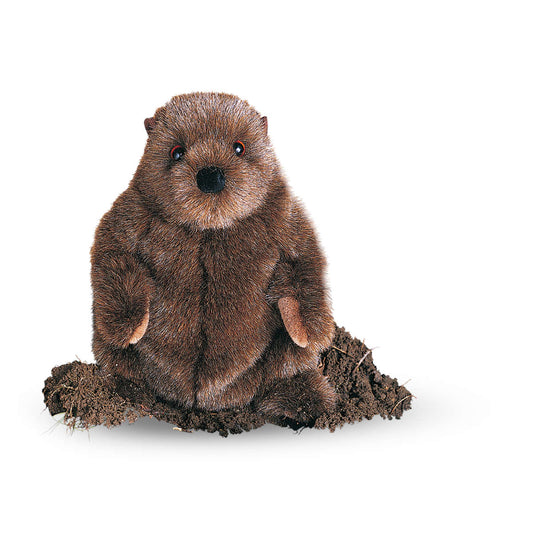 Chuckwood the Groundhog by Douglas