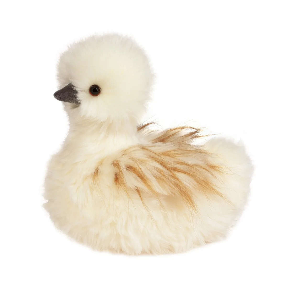 Douglas Tara the Large Silkie Chick