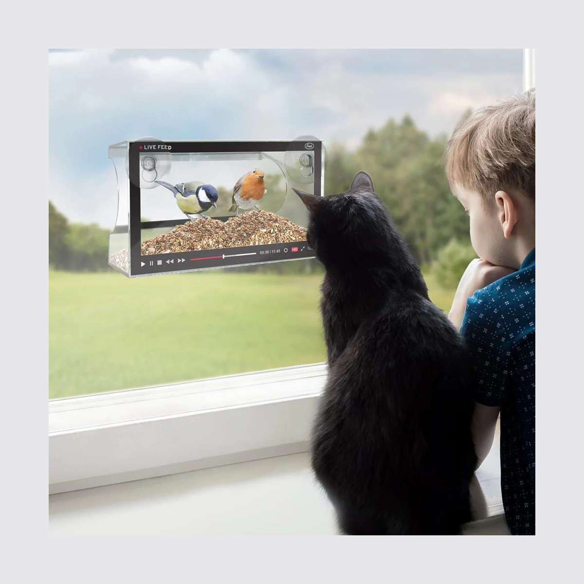 Fred Live Feed Bird Feeder